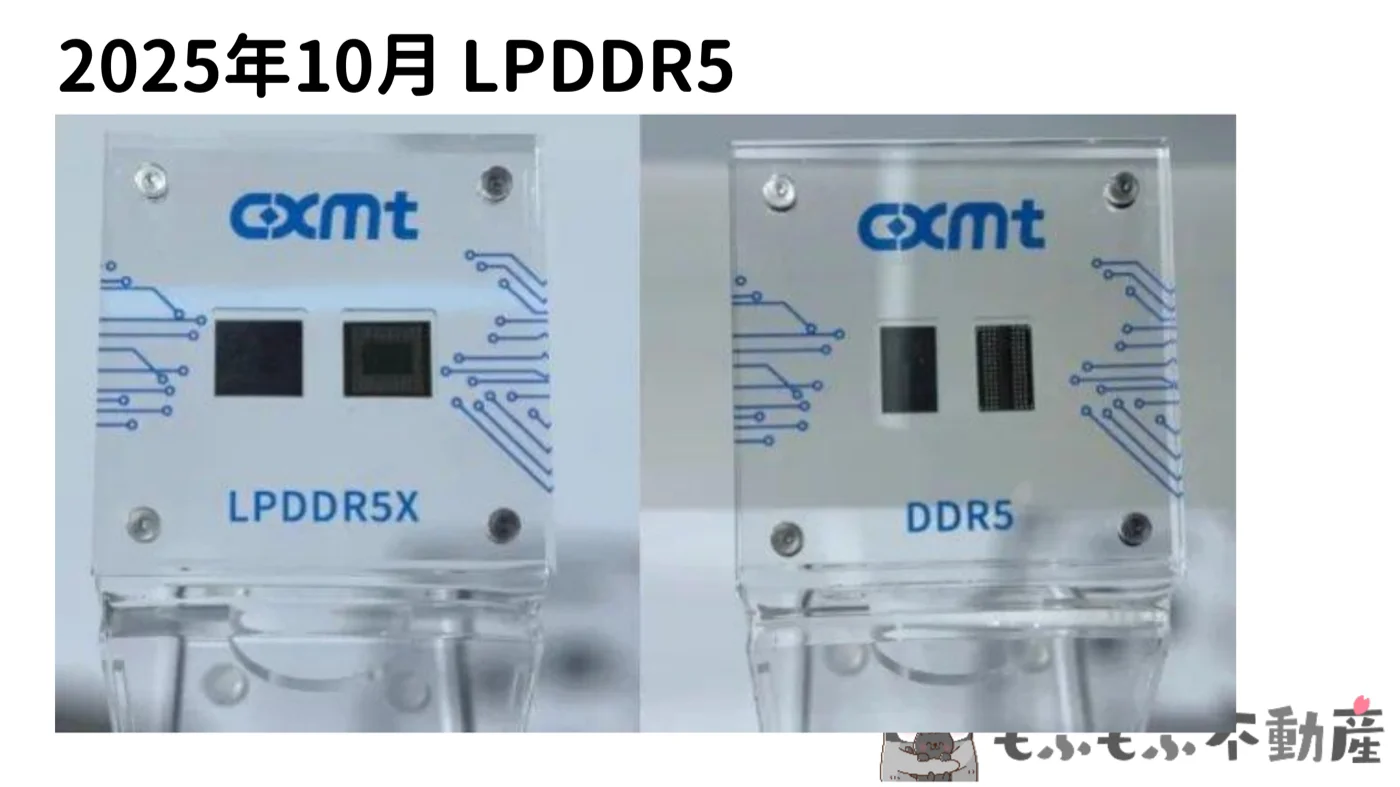 CXMTが展示したLPDDR5XチップとDDR5チップの写真