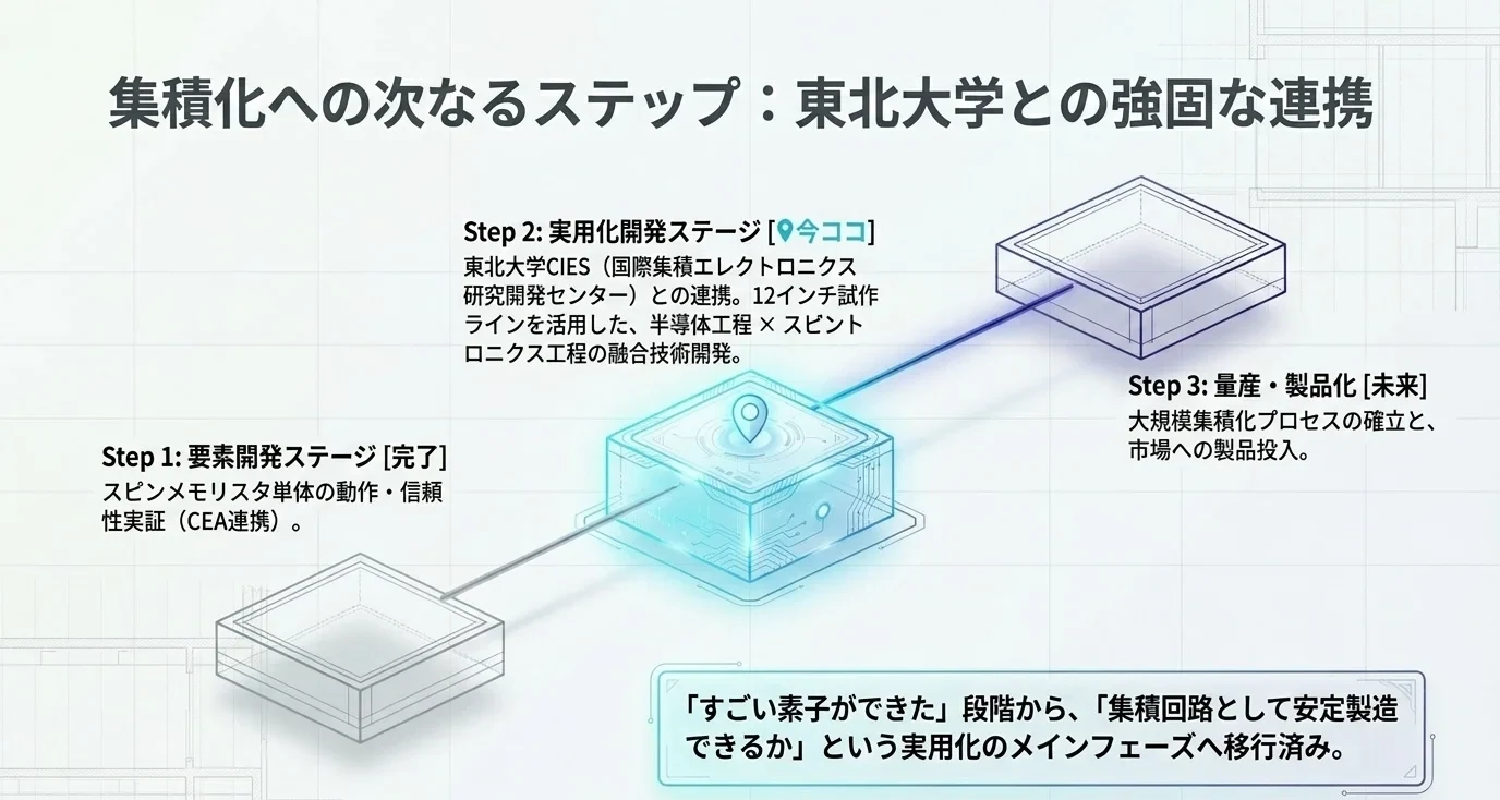 スピンメモリスタの開発ステップの図。Step1要素開発は完了、Step2実用化開発が現在地で東北大学CIESと12インチ試作ラインで連携、Step3が量産・製品化