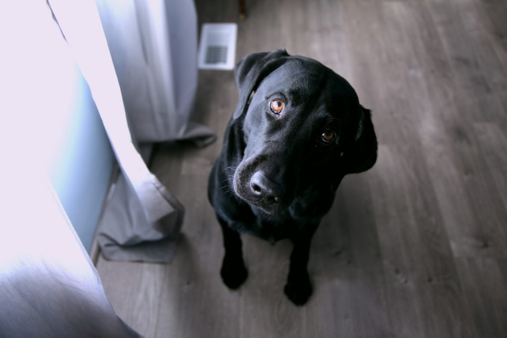 Photo by Sharon McCutcheon on Unsplash